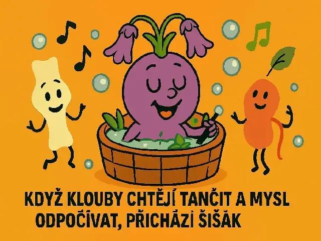 Šišák bajkalský jako součást tradiční péče o rovnováhu a pohodu